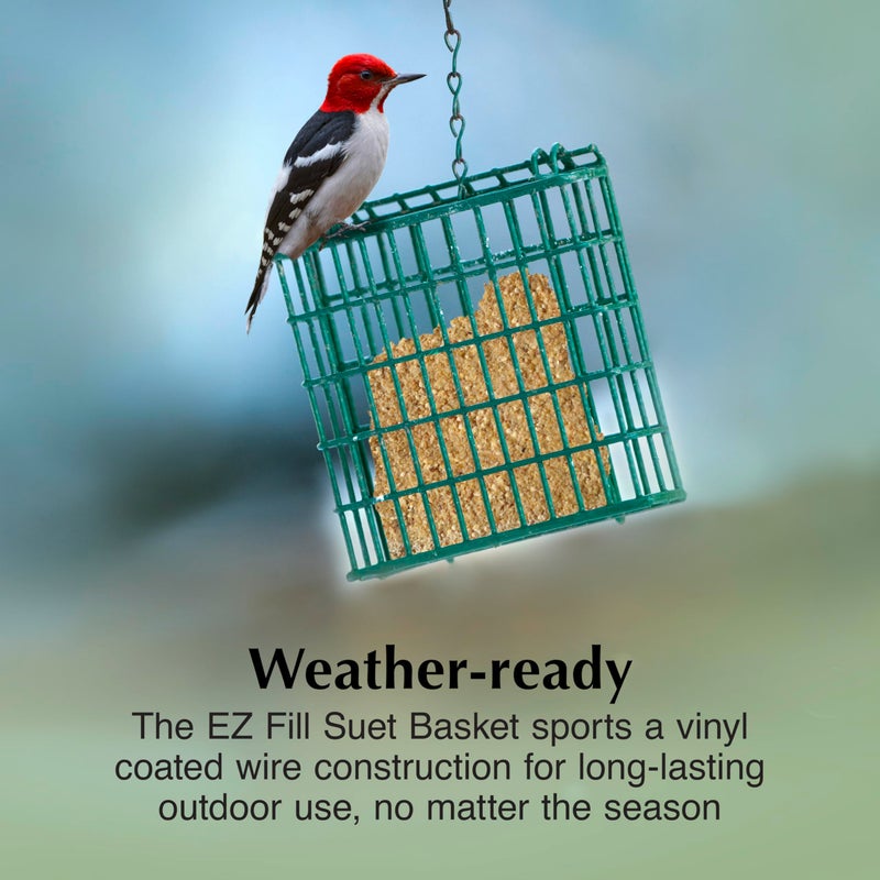 CS C&S EZ Fill Suet Basket, Suet Feeders for Wild Birds, Holds One Suet Cake, 8 Ounces - Image 3